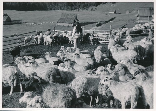Foto nachl karl gissenler - karl,