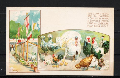Cartolina esposizione - cartolina,