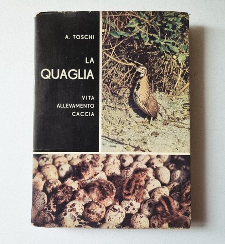 Caccia selvaggina quaglia - la,