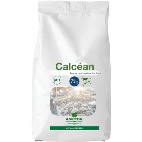 Calcéan polvere calcare di - polvere,