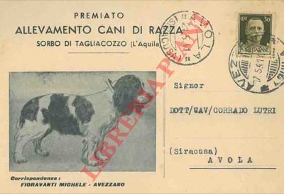 Allevamento cani razza - di,