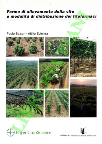 Balsari paolo scienza - balsari,