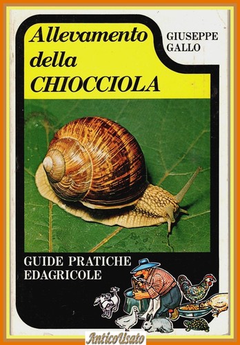 Allevamento della chiocciola - allevamento,