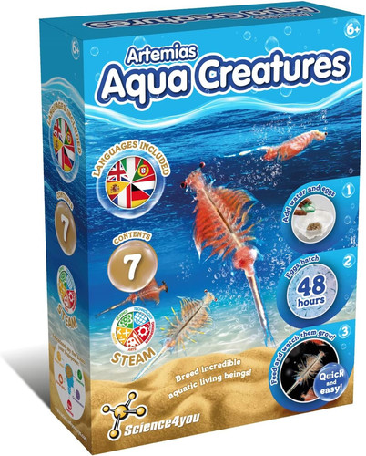 Artemia creature - artemia,