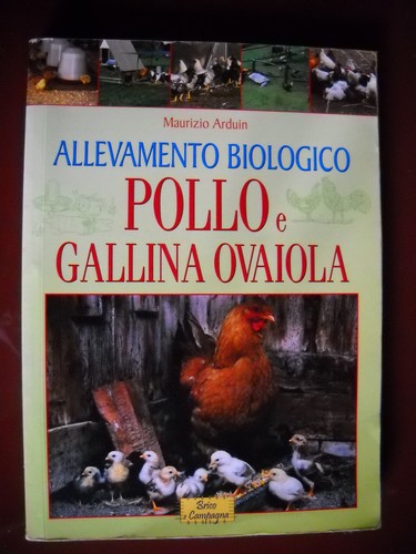 Maurizio arduin allevamento - arduin,