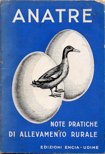 1960 anatre note pratiche - anatre.,