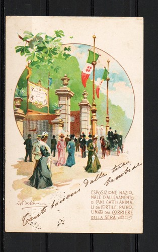 Cartolina esposizione - cartolina,
