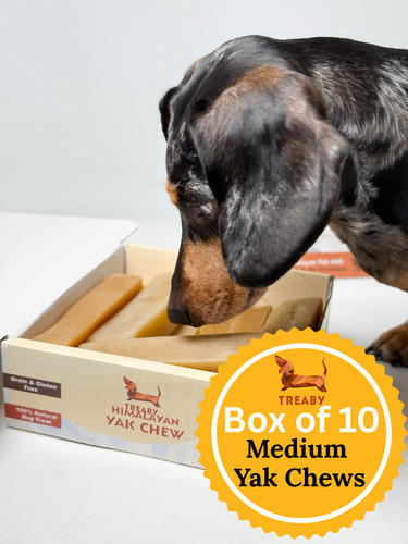 Himalayan yak chews - himalayan,
