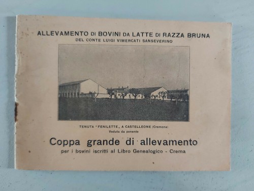 Allevamento bovini luigi - allevamento, di