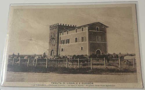 Cartolina vignale piombino - vignale,
