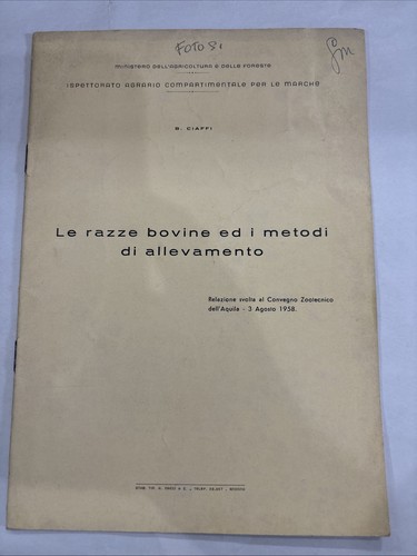 Razze bovine metodi di - le,